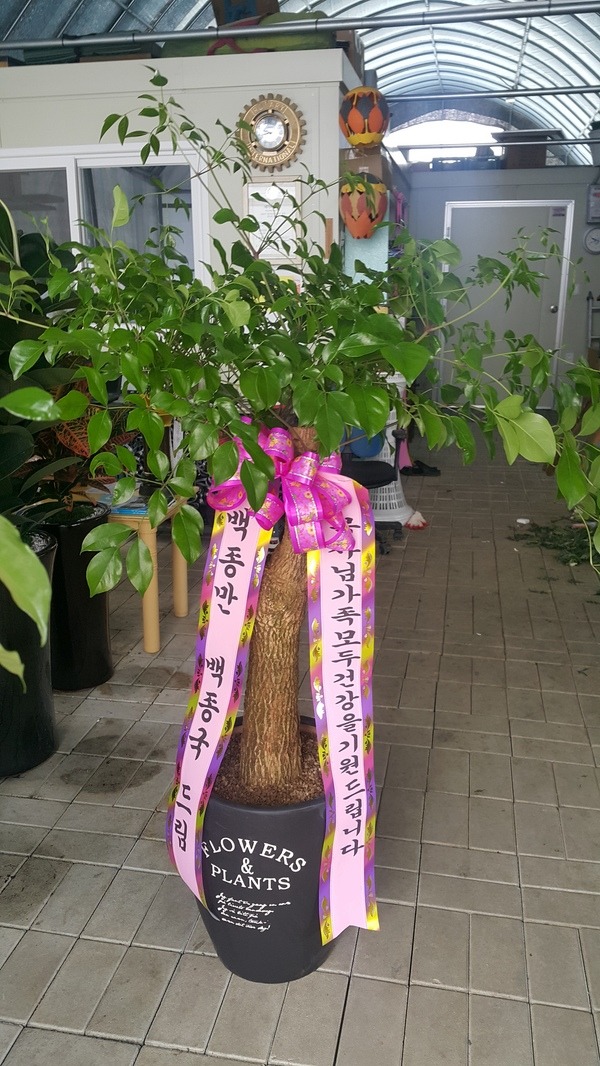 4��28��(�����)