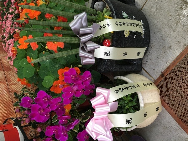 5��5��(��̳�)