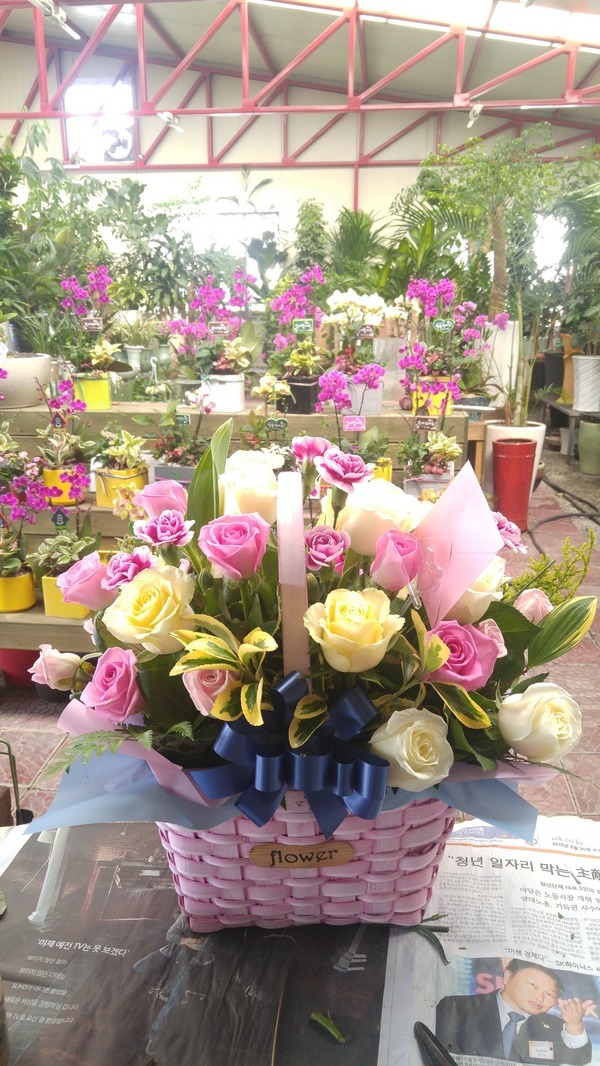 5��5��(��̳�)