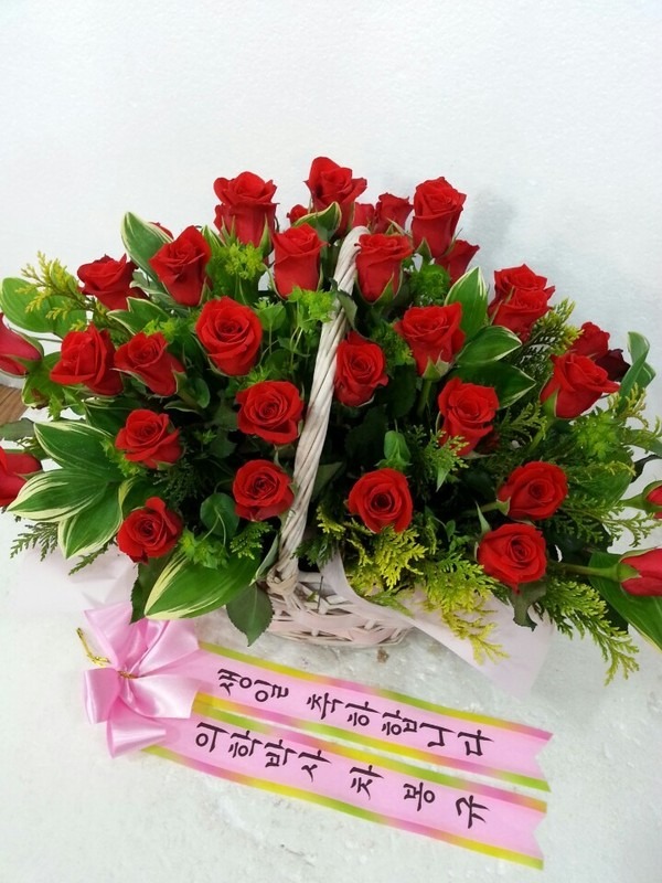 5��5��(��̳�)