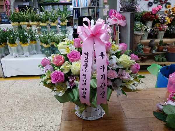 5��5��(��̳�)