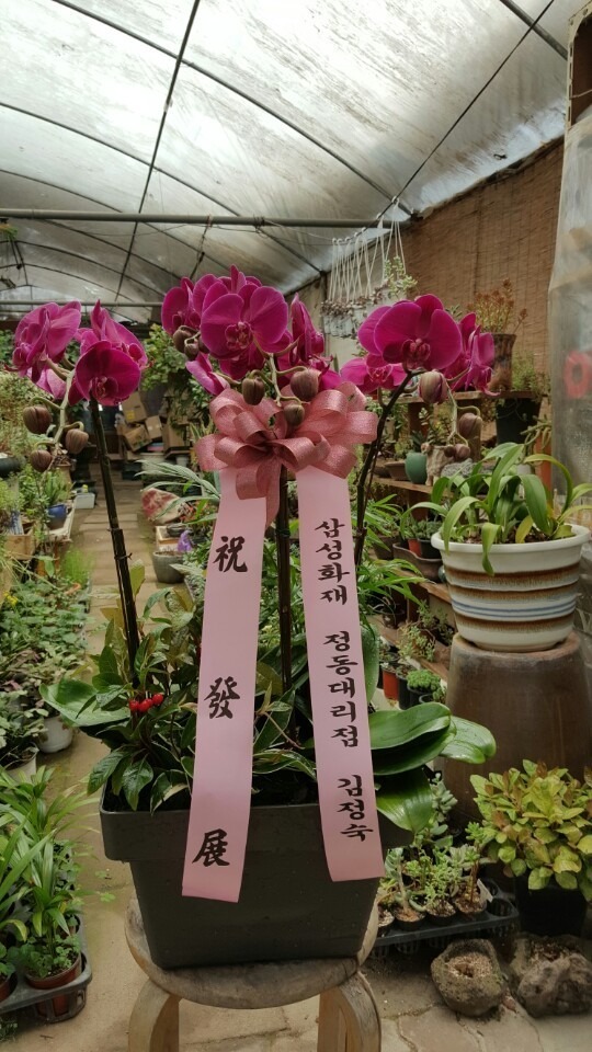 5��5��(��̳�)