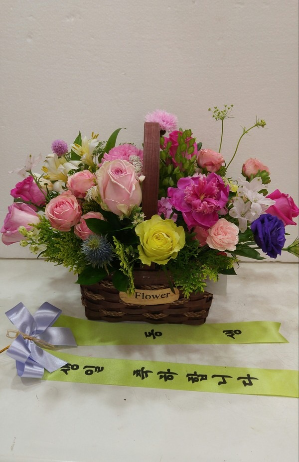 5��5��(��̳�)