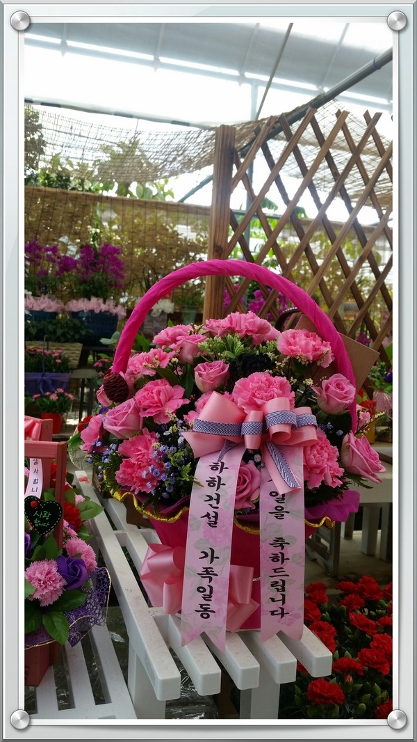 5��5��(��̳�)