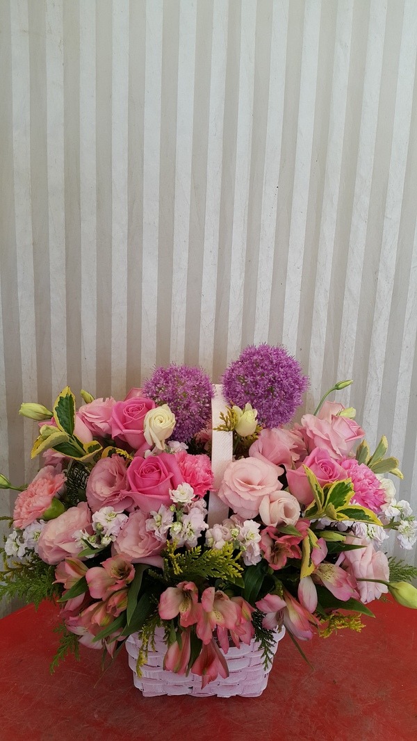 5��5��(��̳�)