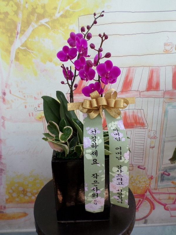 5��14��(�����)