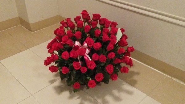 5��14��(�����)