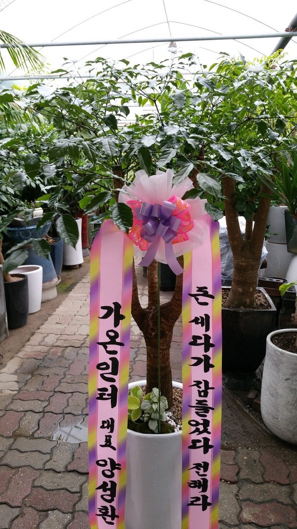 5��31��(������)