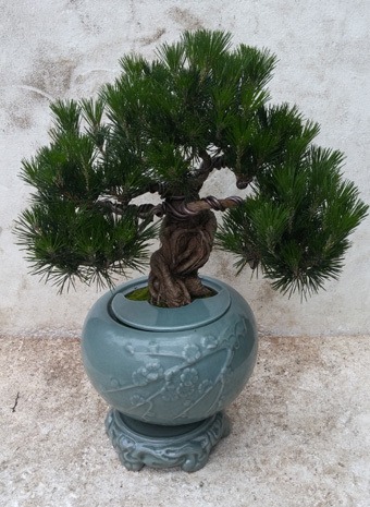 5��31��(������)