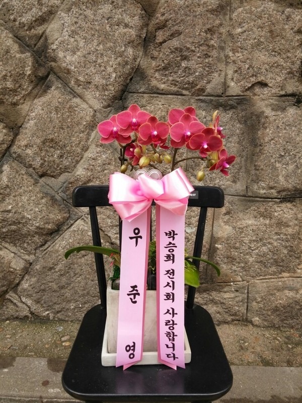 5��31��(������)