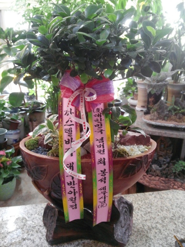 6��17��(�ݿ���)