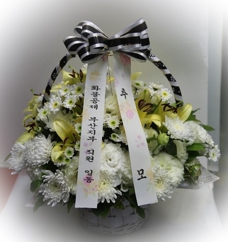 6��17��(�ݿ���)