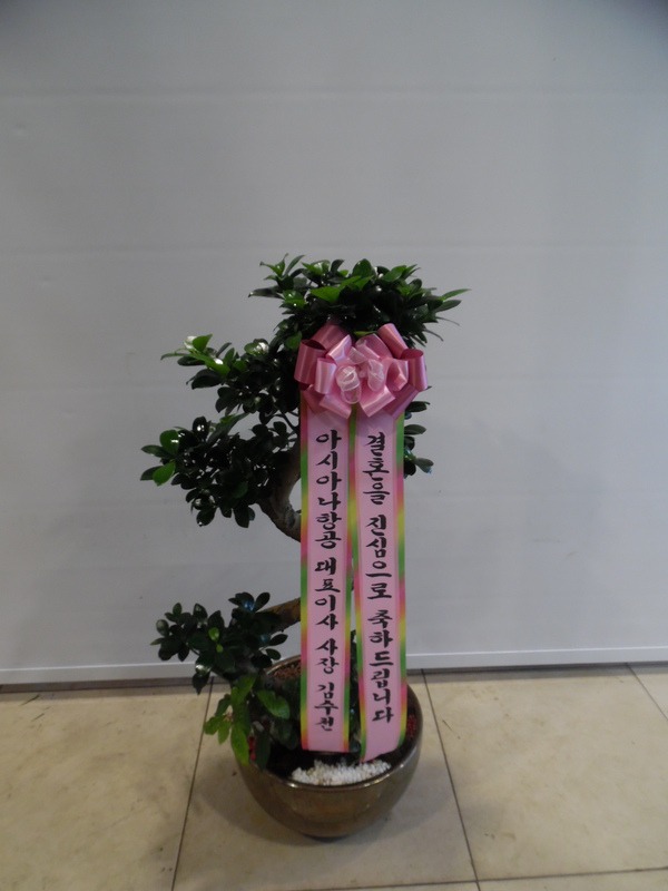 6��17��(�ݿ���)