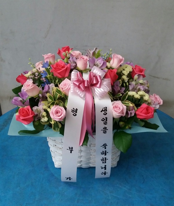 6��17��(�ݿ���)