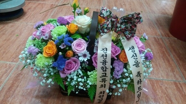 6��17��(�ݿ���)