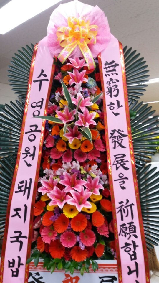 6��17��(�ݿ���)