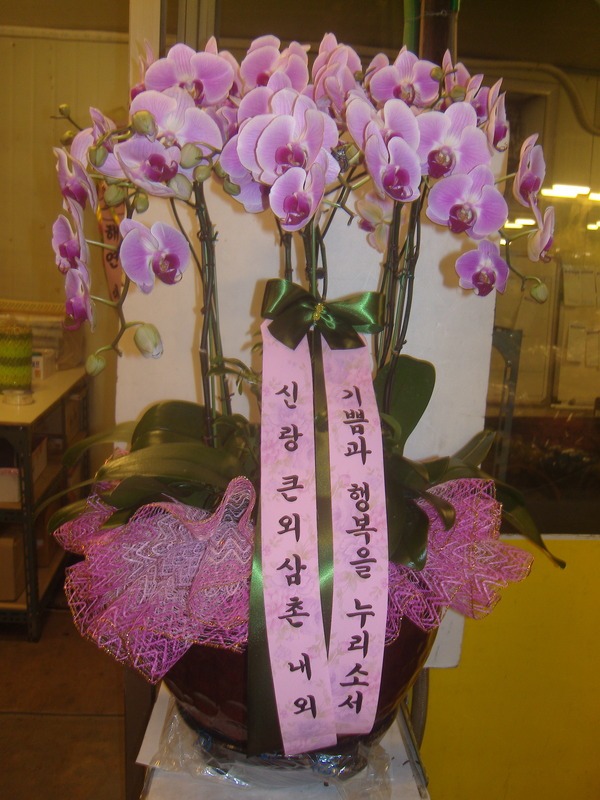 6��17��(�ݿ���)