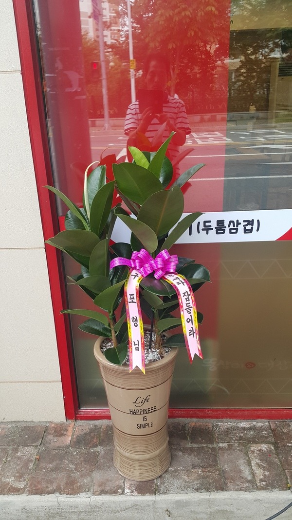 6��17��(�ݿ���)