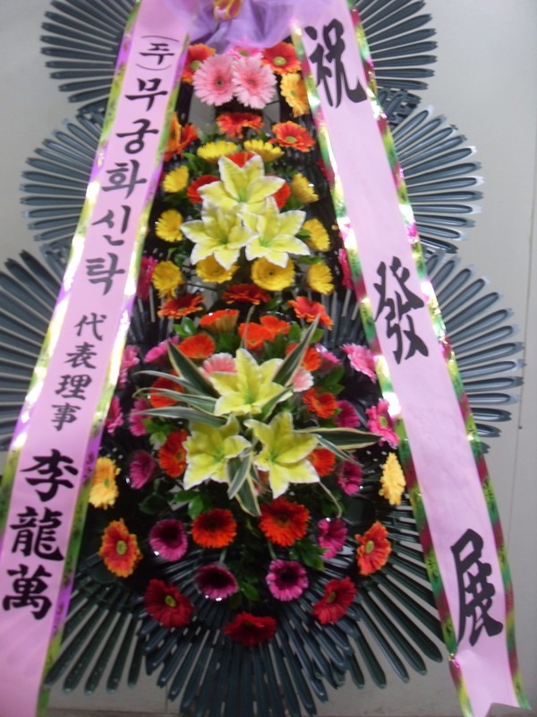 6��17��(�ݿ���)