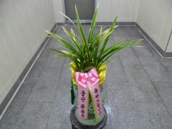 7��4��(������)