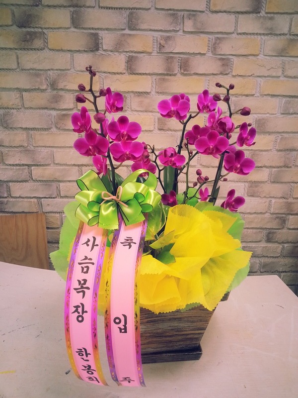 7��4��(������)