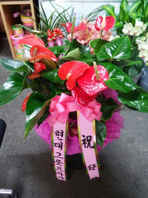 7��4��(������)