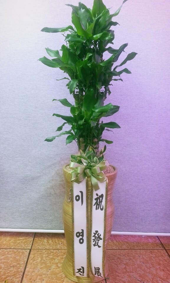 7��19��(ȭ����)