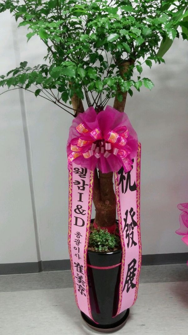 7��19��(ȭ����)