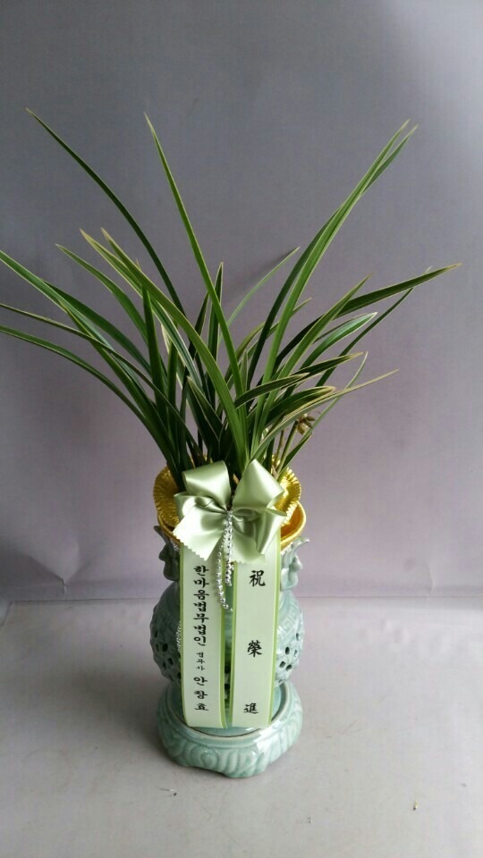 7��19��(ȭ����)