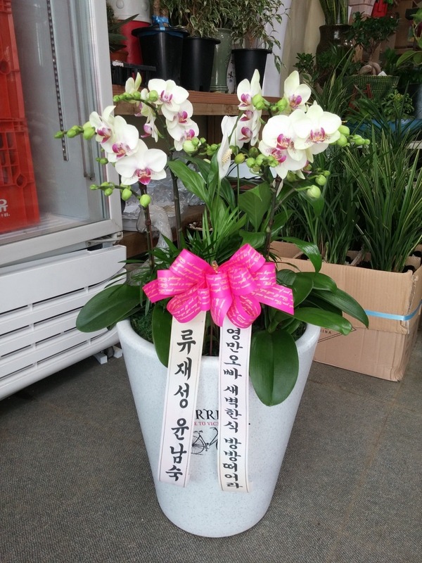 7��22��(�ݿ���)