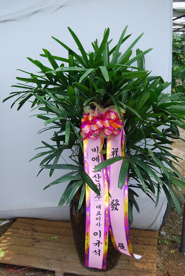 7��22��(�ݿ���)