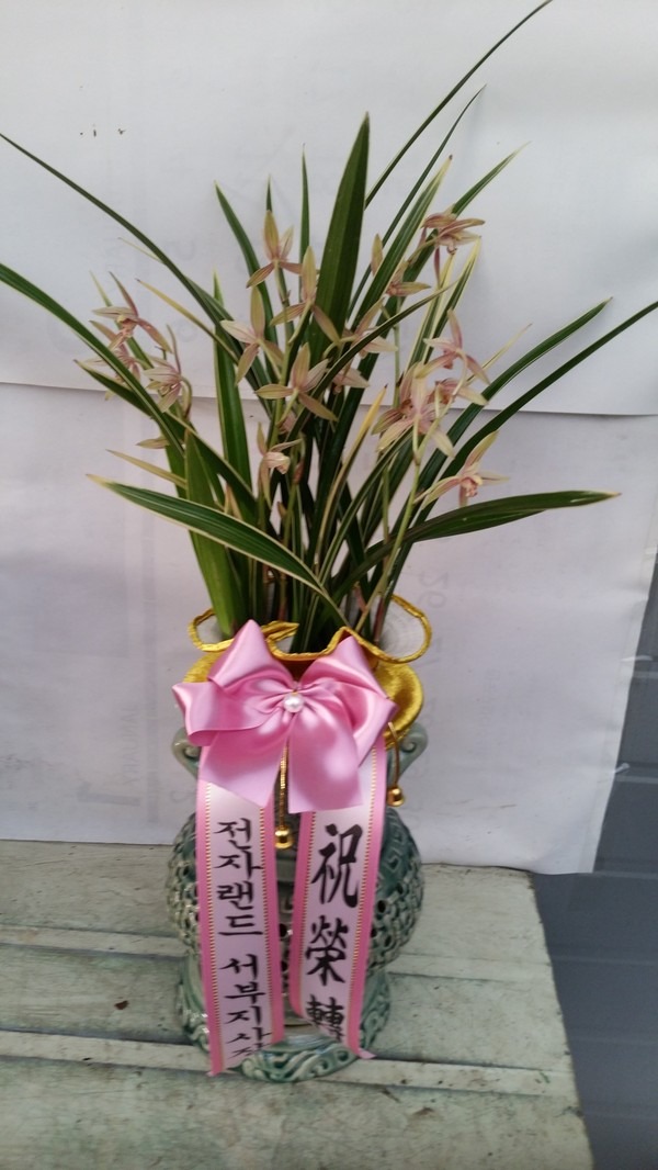 7��22��(�ݿ���)