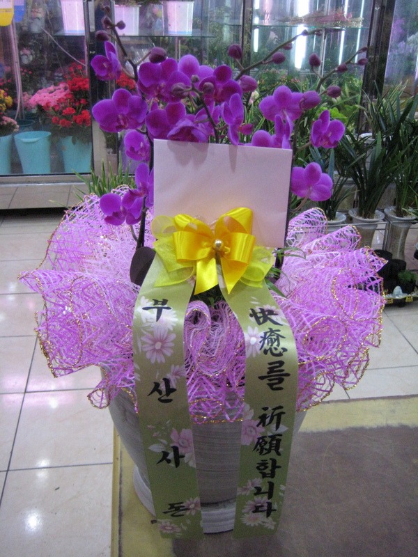 7��22��(�ݿ���)