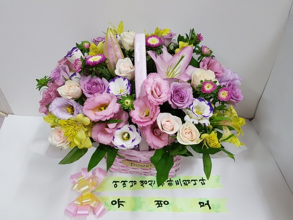 8��17��(������)