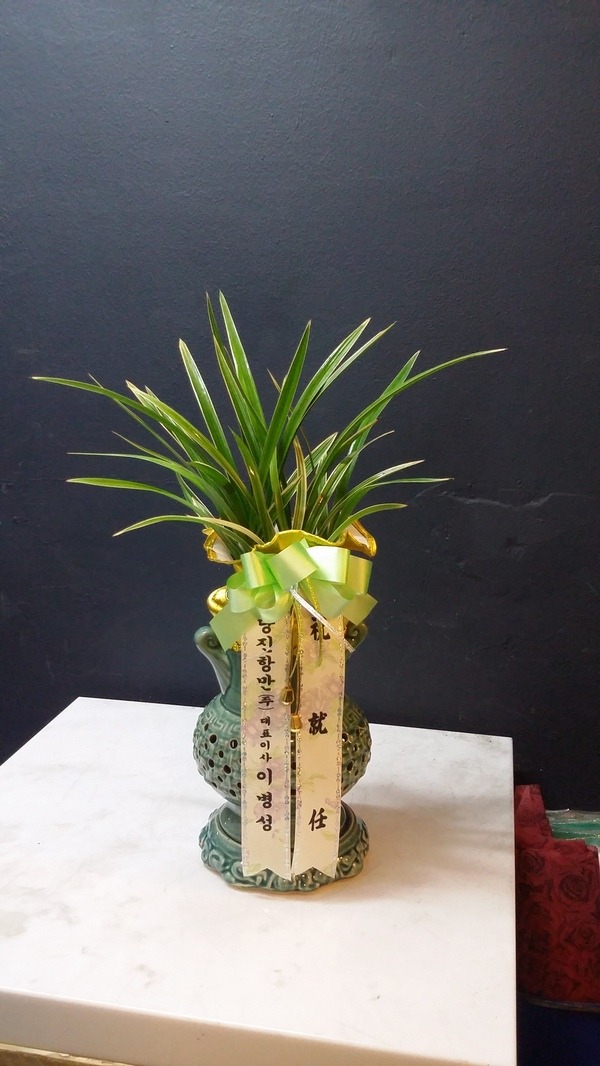 8��17��(������)