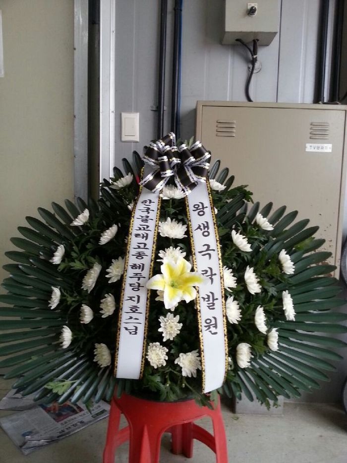 8��17��(������)