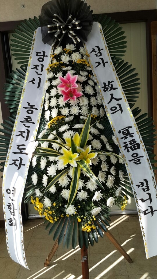 8��17��(������)