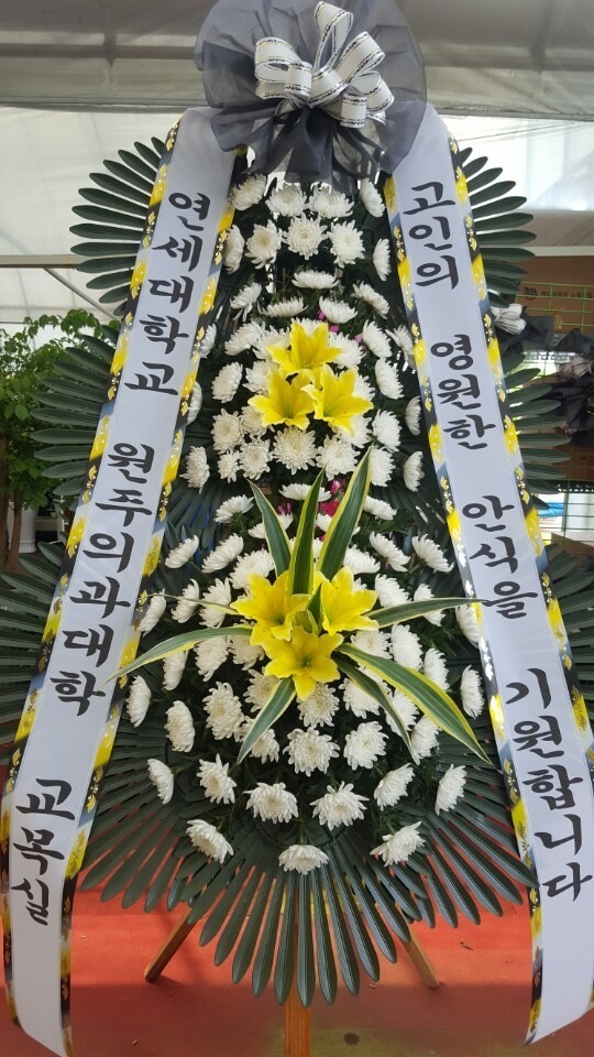 8��17��(������)