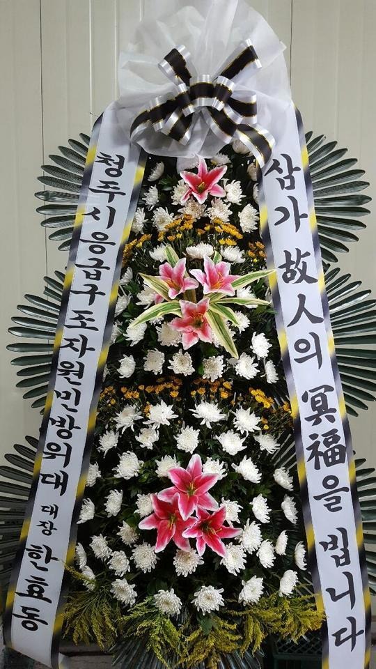 8��17��(������)