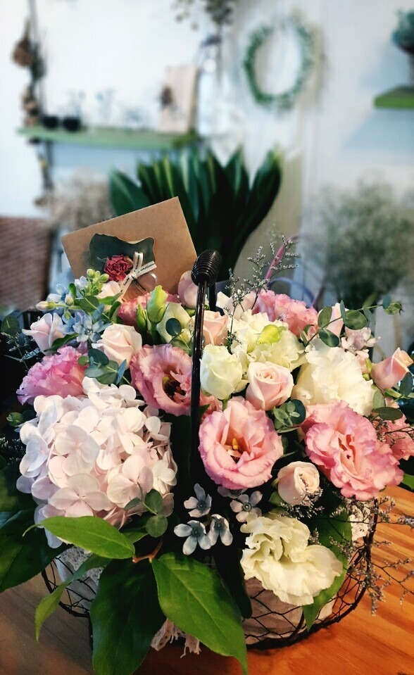 8��17��(������)