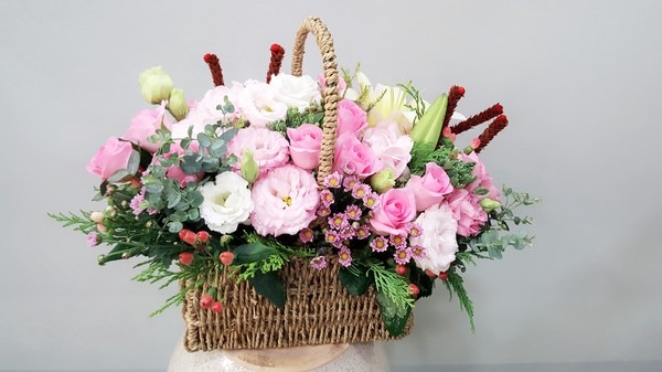 8��17��(������)