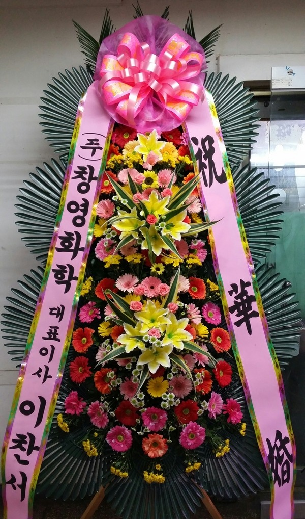 2016��9��6��(ȭ����)