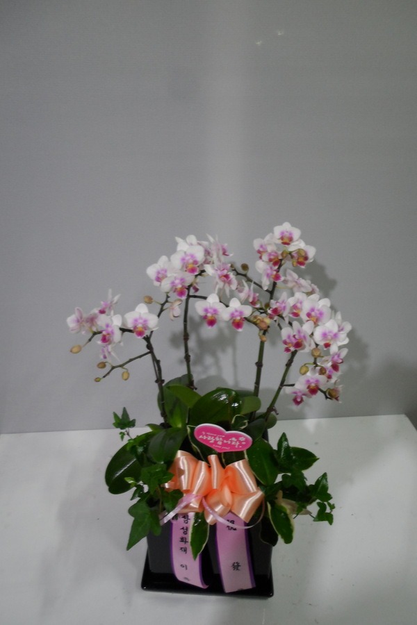 2016��9��6��(ȭ����)