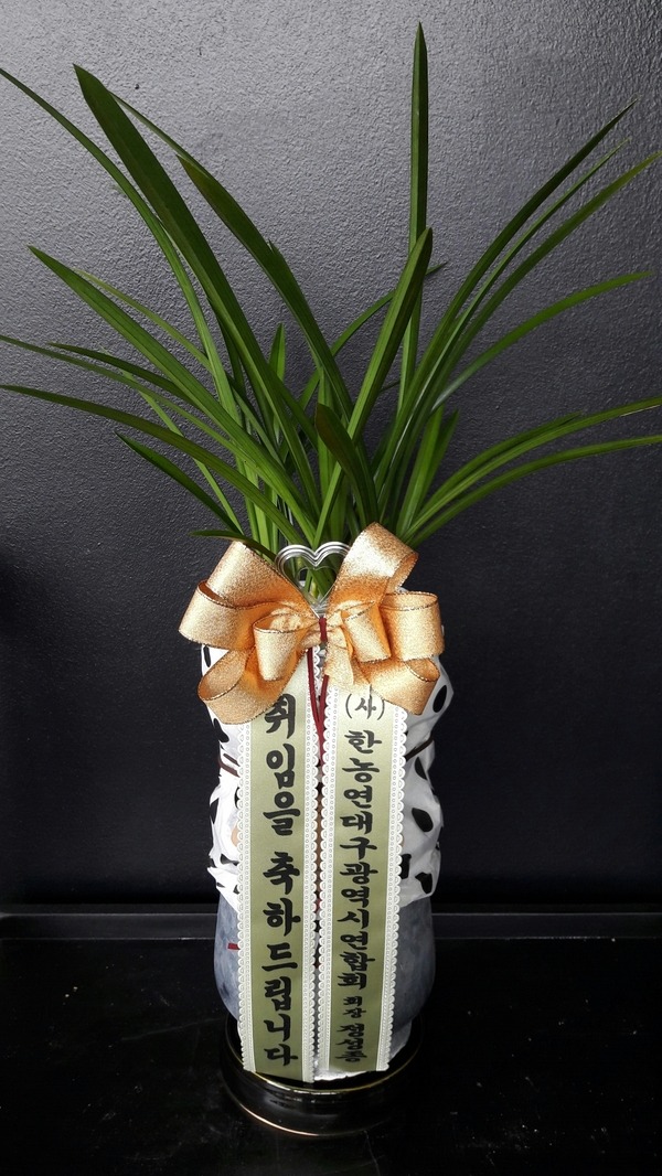 2016��9��6��(ȭ����)