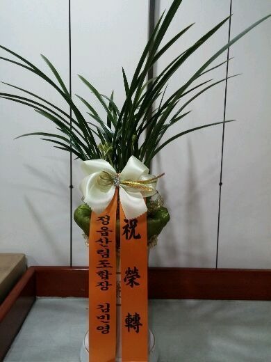 2016��9��6��(ȭ����)