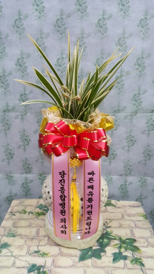 9��11��(�Ͽ���)