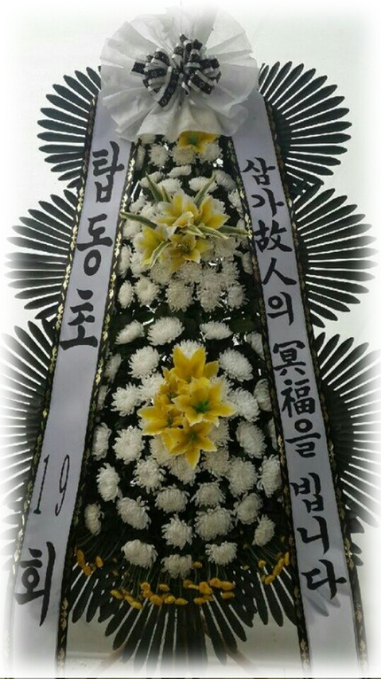 9��11��(�Ͽ���)