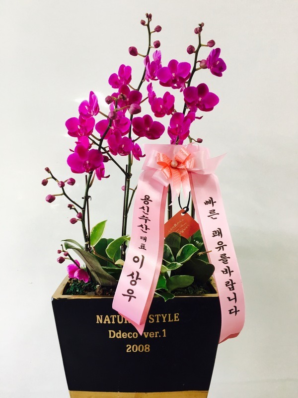 9��21��(������)