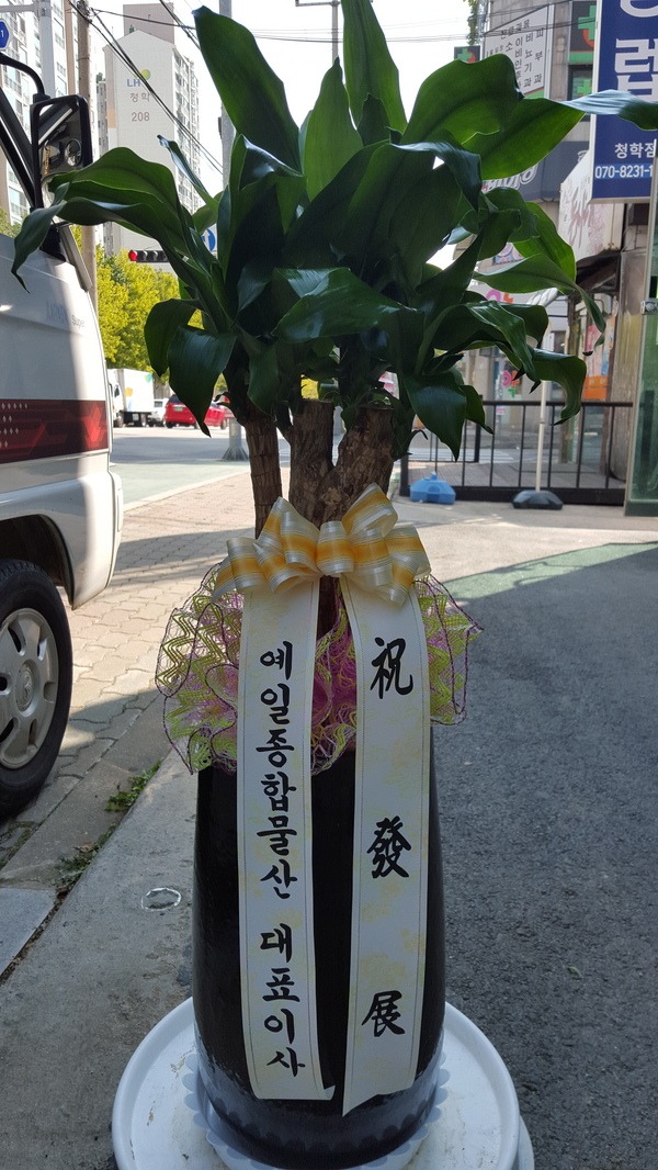 9��21��(������)