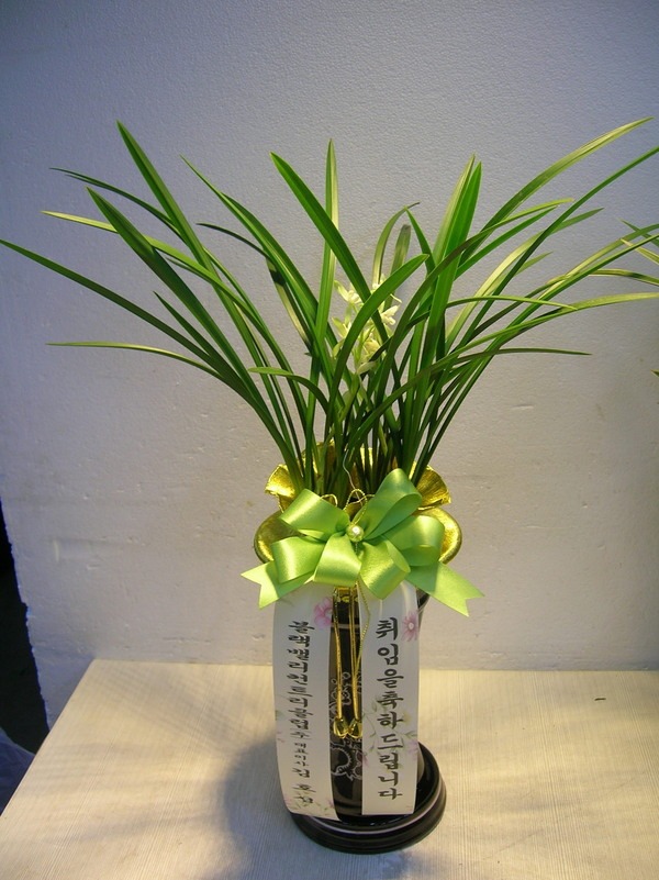 9��21��(������)